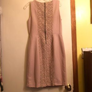 The Limited Dress Gorgeous flower lace back Sz 10